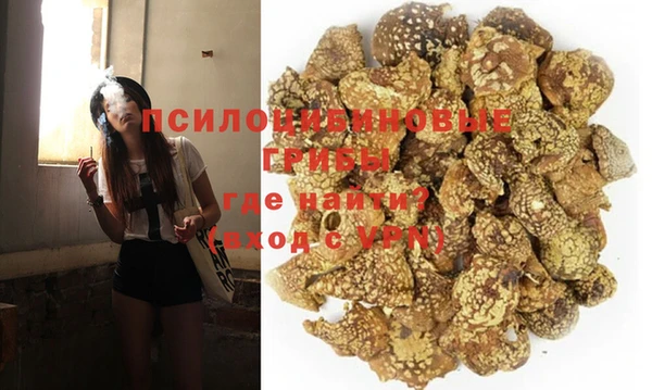 стаф Рославль