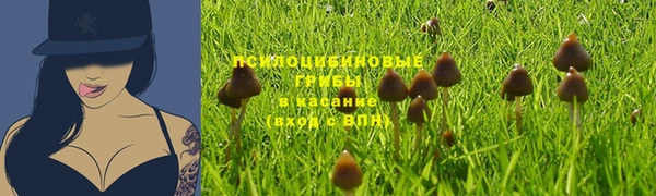 прущий лед Алексин