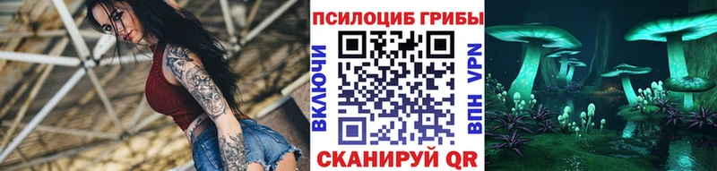 Псилоцибиновые грибы Psilocybine cubensis Вышний Волочёк