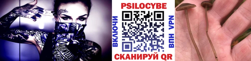 Галлюциногенные грибы GOLDEN TEACHER Вышний Волочёк
